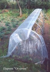 Парник Огурчик